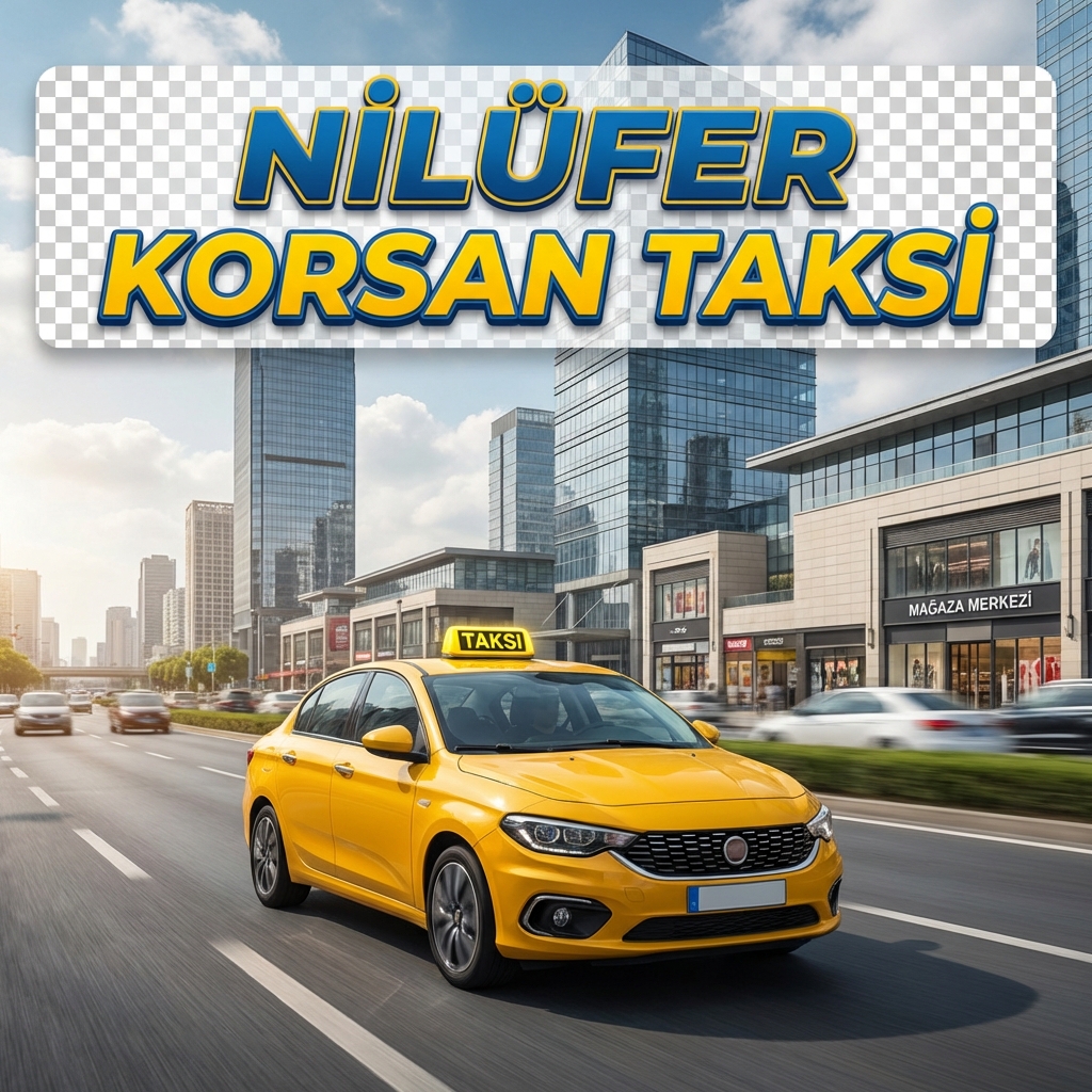 Nilüfer Korsan Taksi